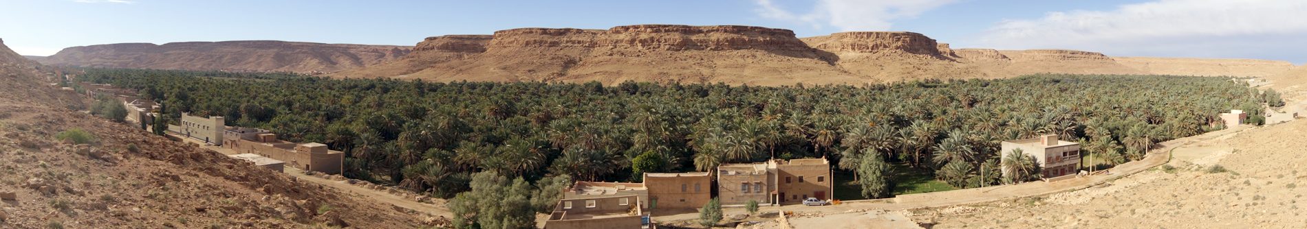 Date palm oasis in a desert valley in Morocco